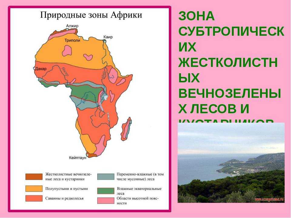 Климатические пояса африки — мир африки