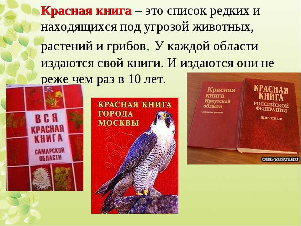 Красная книга россии – зачем нужна, примеры редких животных и растений
