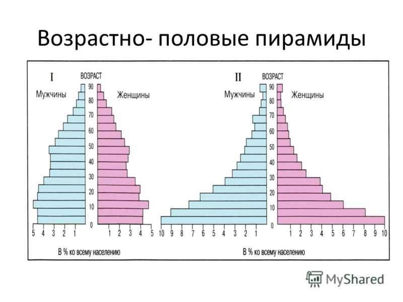 Население сша: численность-2022, структура и демография