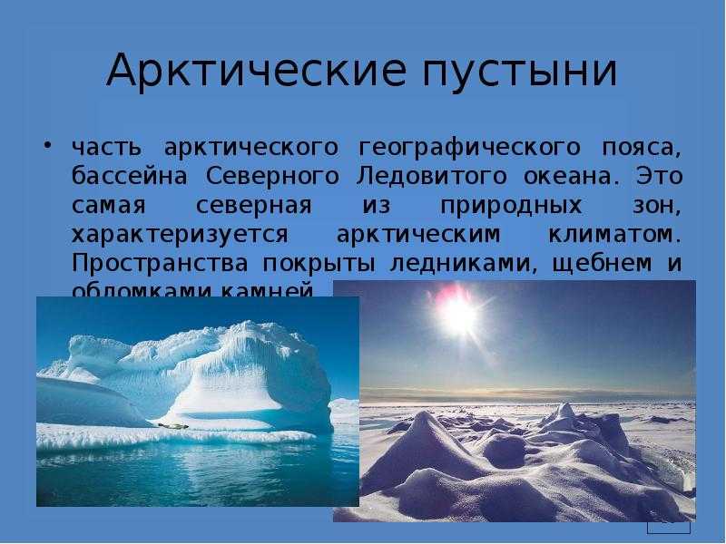 Арктика - климат, характеристика флоры и фауны
