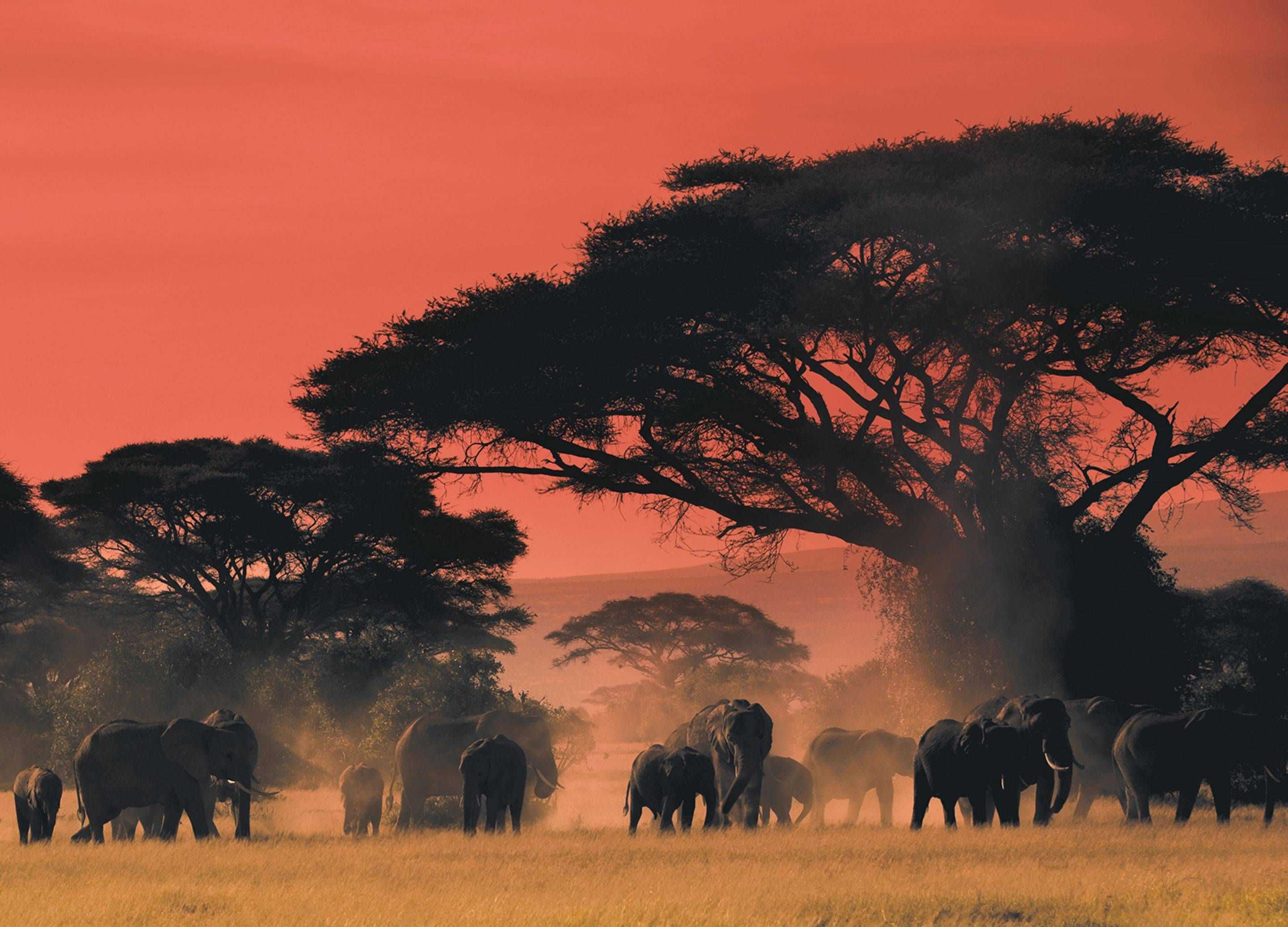африканский пейзаж фото