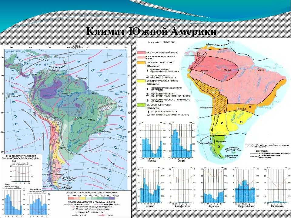 Климат южной америки - описание, особенности и характеристика условий