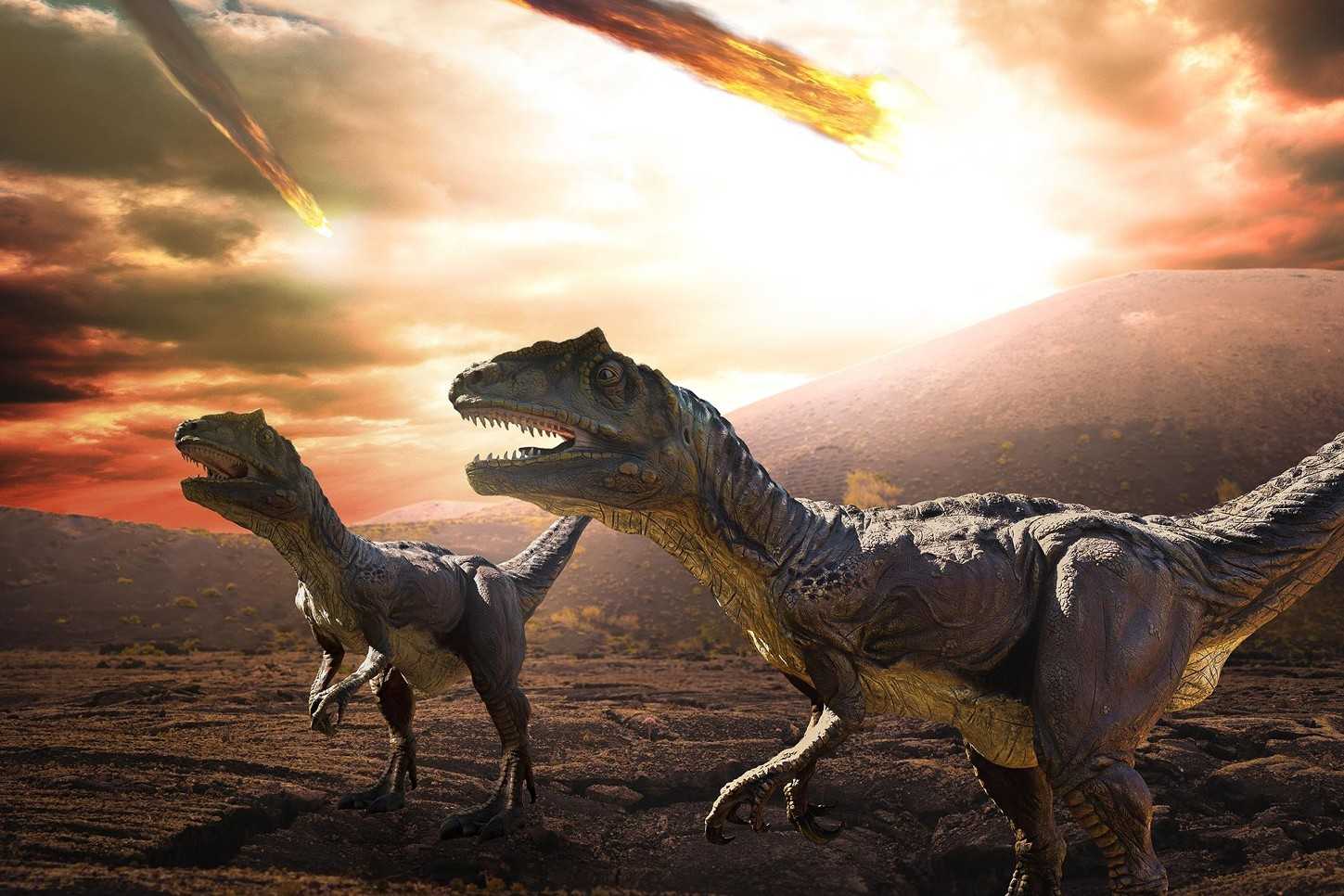 Какие бывают динозавры: названия и фото