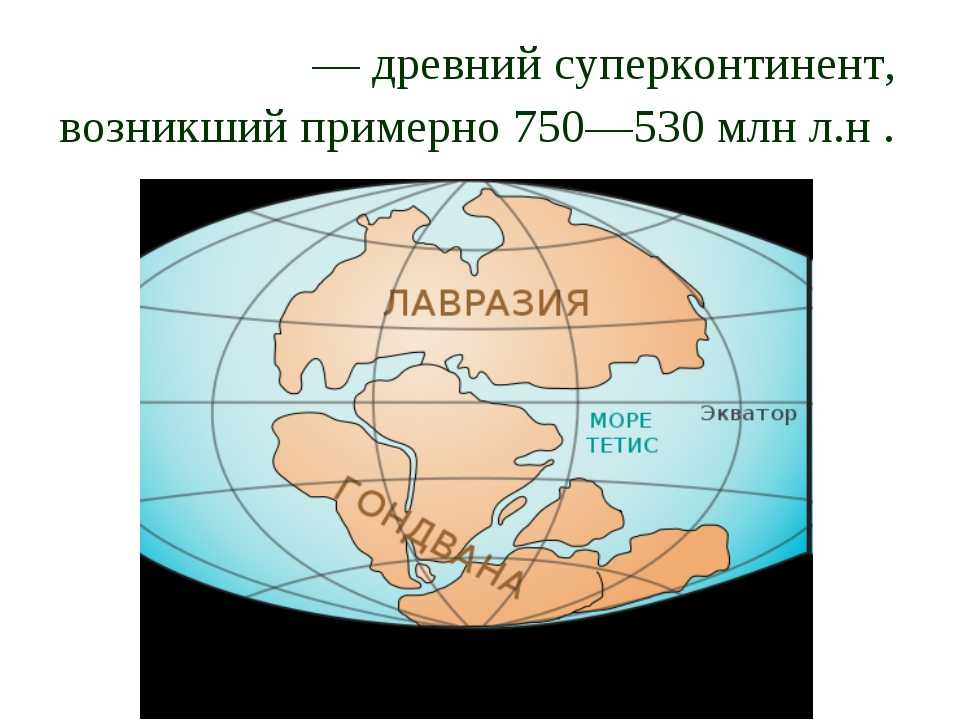 Сколько материков на нашей земле: что это такое и какая часть света состоит из двух материков | tvercult.ru