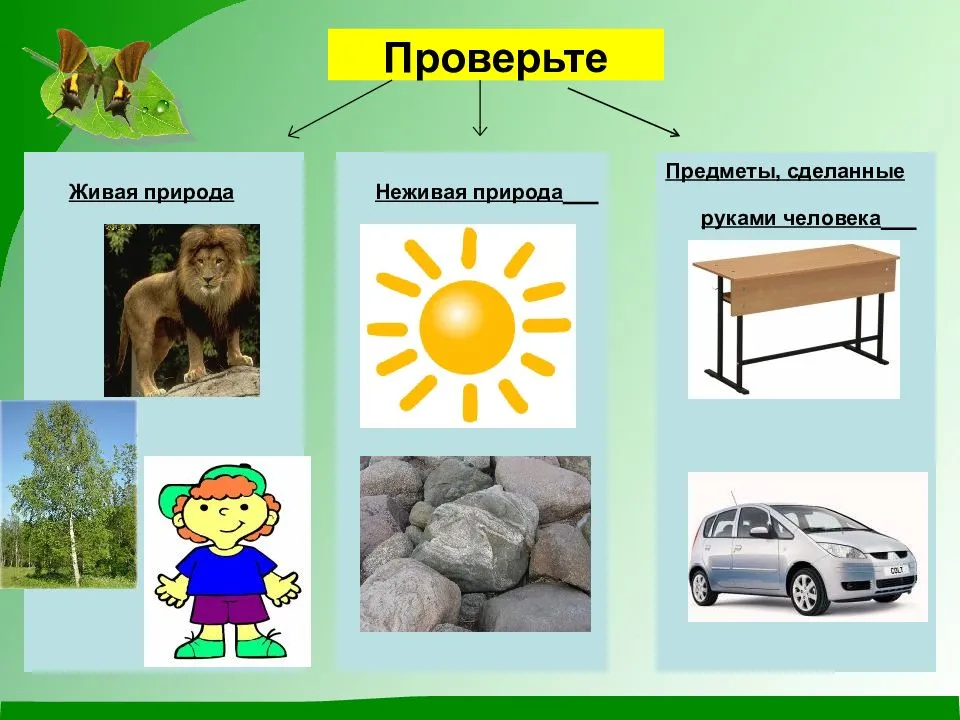 Виды созданные человеком. Объекты живой и неживой природы 1 класс окружающий мир. Природа и предметы созданные человеком. Живая неживая природа и рукотворный мир. Объекты сделанные руками человека.