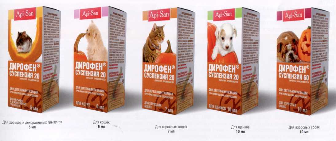 Профендер (капли) для кошек и котят | отзывы о применении препаратов для животных от ветеринаров и заводчиков