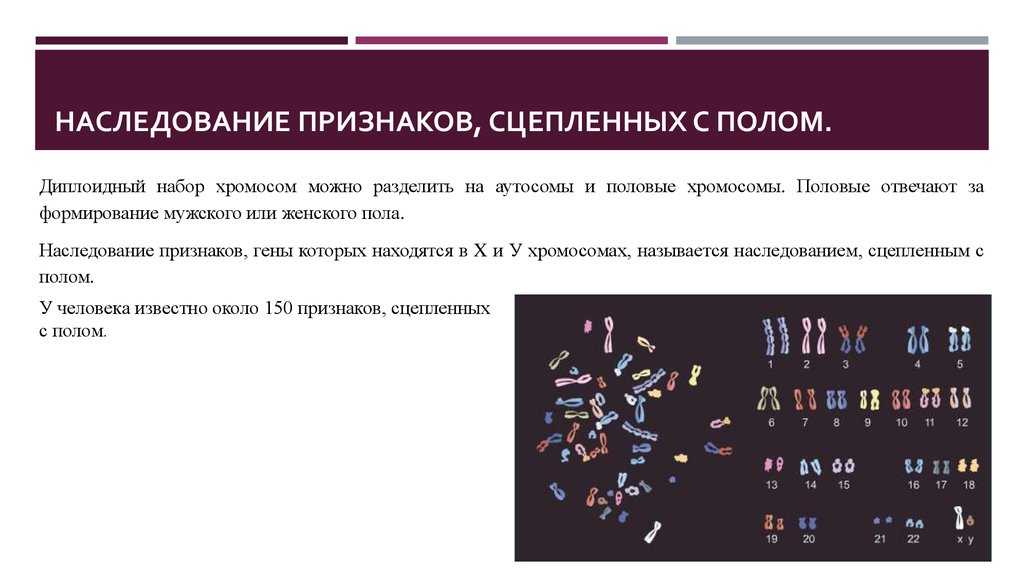 Презентация генетика пола наследование сцепленное с полом наследование