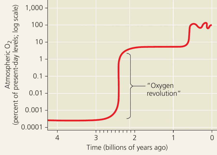 Круговорот кислорода в природе: схема, краткое описание, этапы и роль