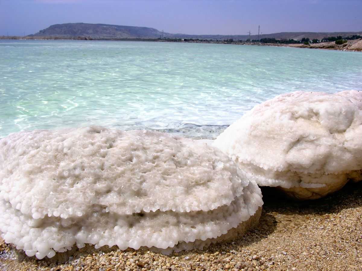 Знаете ли вы почему мёртвое море так называется? ¦ magnitico.com