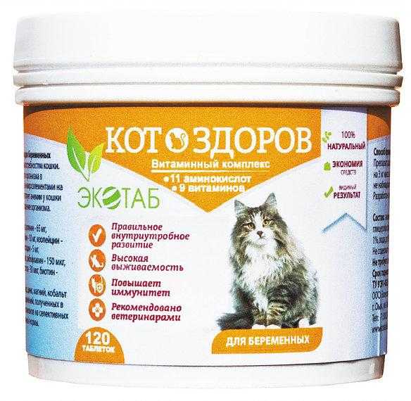Витамины для беременных кошек. Витамины для Мейн кунов. Витаминно-минеральный комплекс для котят. Витаминный комплекс для котов. Витамины для Мейн кунов для шерсти.