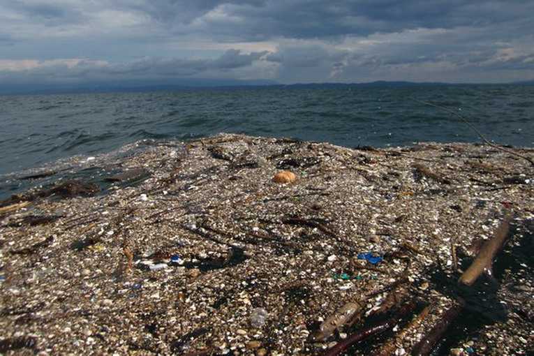 Большое тихоокеанское мусорное пятно: природа загрязнения, масштабы и методы борьбы