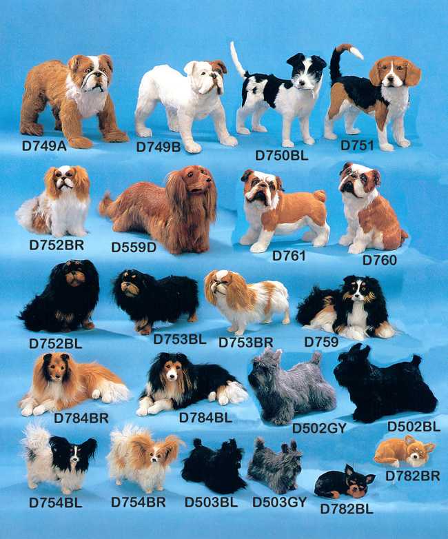 Топ-30 самых маленьких пород собак с названиями и фото