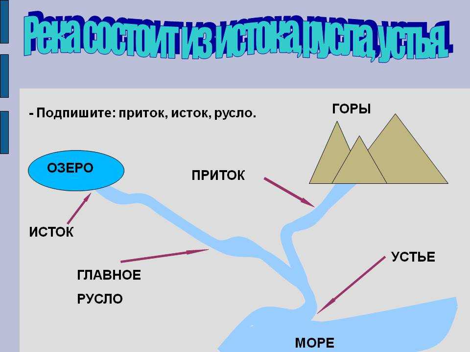 Волга - описание реки, течение, притоки, исток, устье
