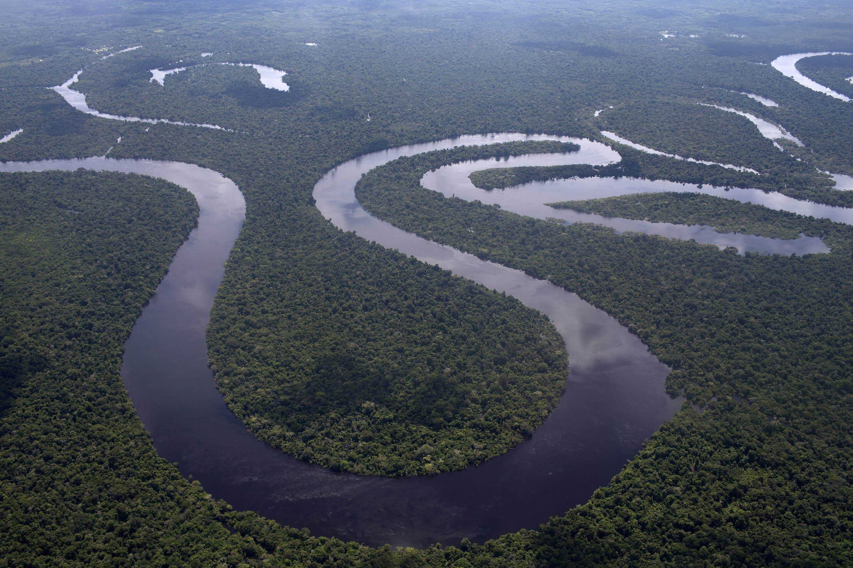 Какая река самая длинная в мире - название, описание, фото