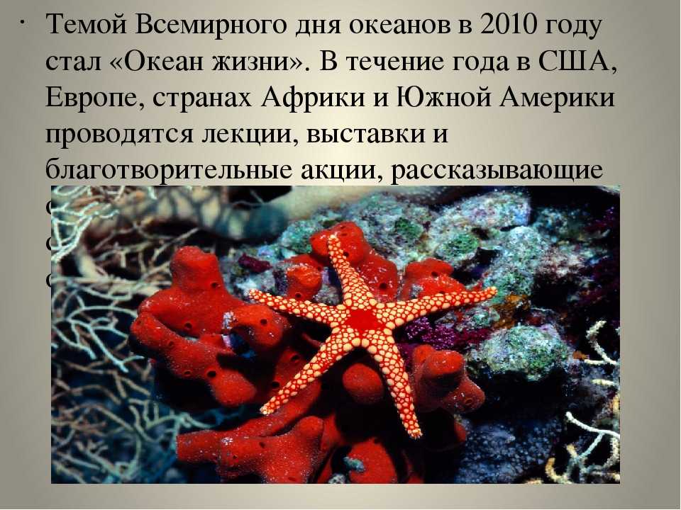 Всемирный день океанов в россии празднуют 8 июня