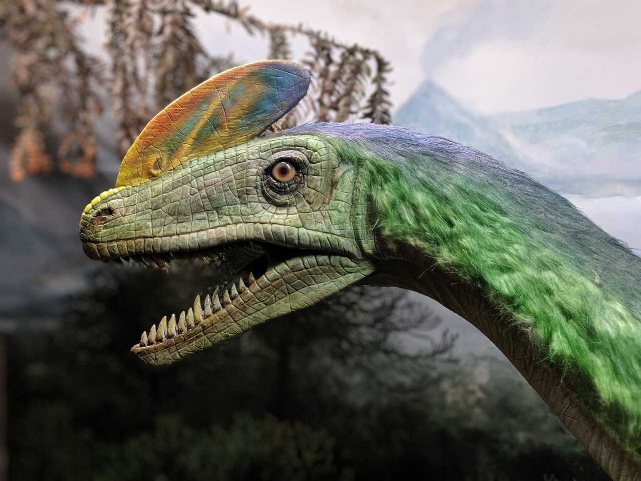 Кто жил до динозавров на земле |