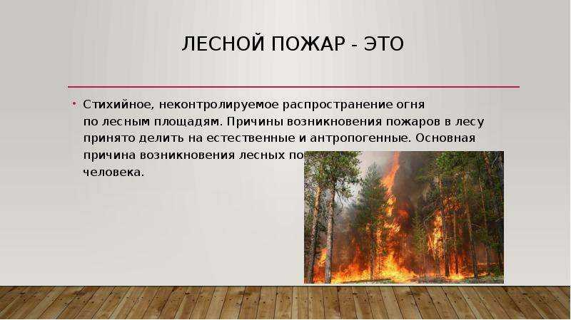 5.1. лесные и торфяные пожары и их характеристика