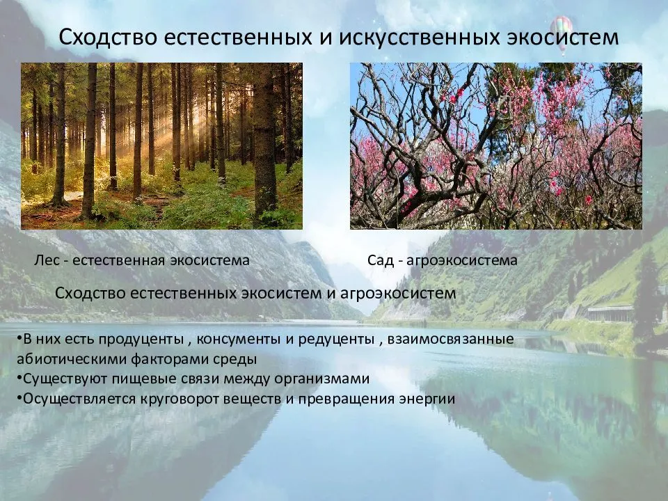 Природные и искусственные экосистемы. Сходства естественных и искусственных экосистем. Особенности естественной экосистемы.