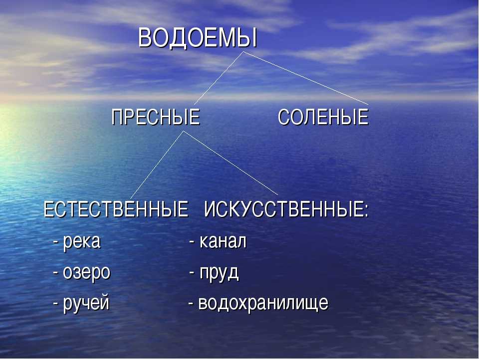 Почему морская вода солёная: исследовательская работа по изучению свойств солёности | tvercult.ru