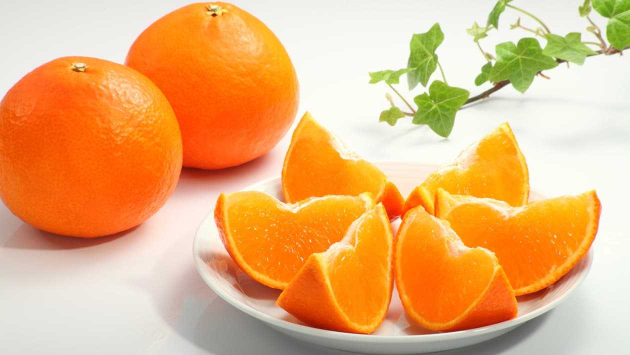 Очень часто, особенно в осенне-зимний период люди интересуются вопросом: могут ли хомяки есть апельсины и мандарины