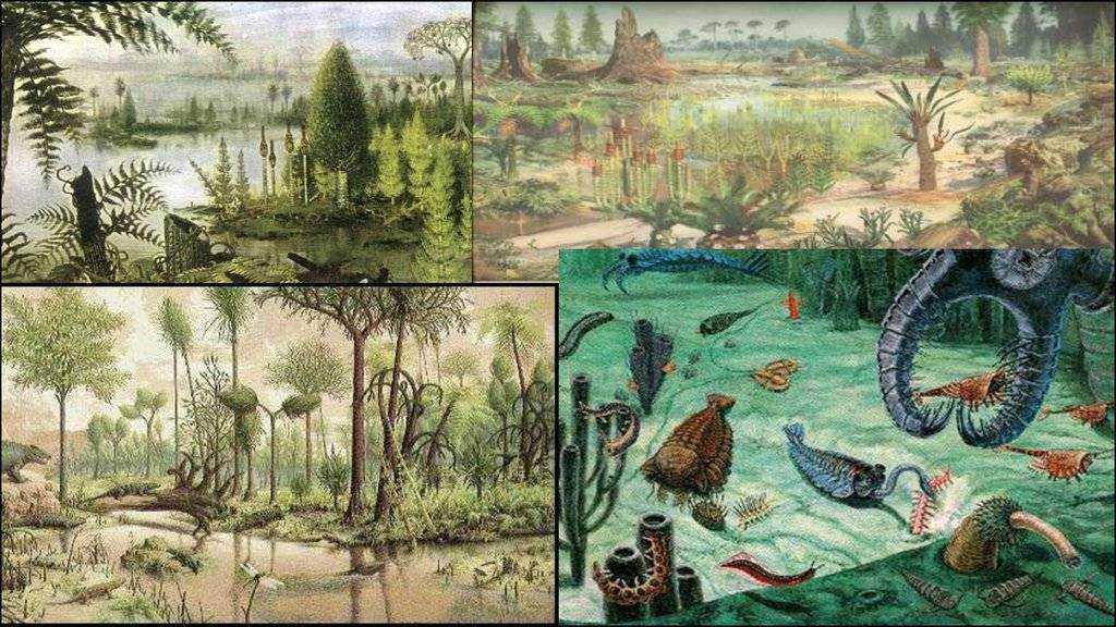 Палеозойская эра | доисторический мир вики | fandom