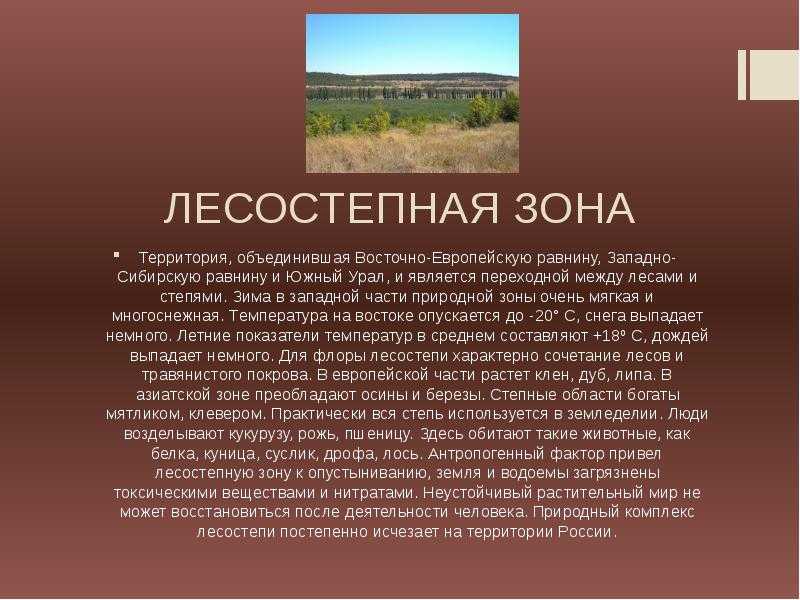 Почвы россии: карта, типы, описание, природные зоны и плодородие — природа мира