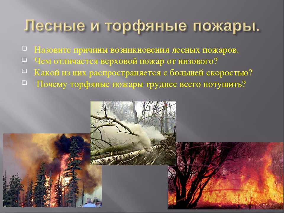 Причины природных пожаров и их классификация