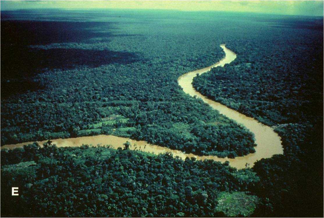 Топ-10 самых длинных рек в мире