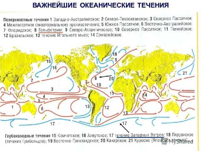 Географические карты мирового океана крупным планом