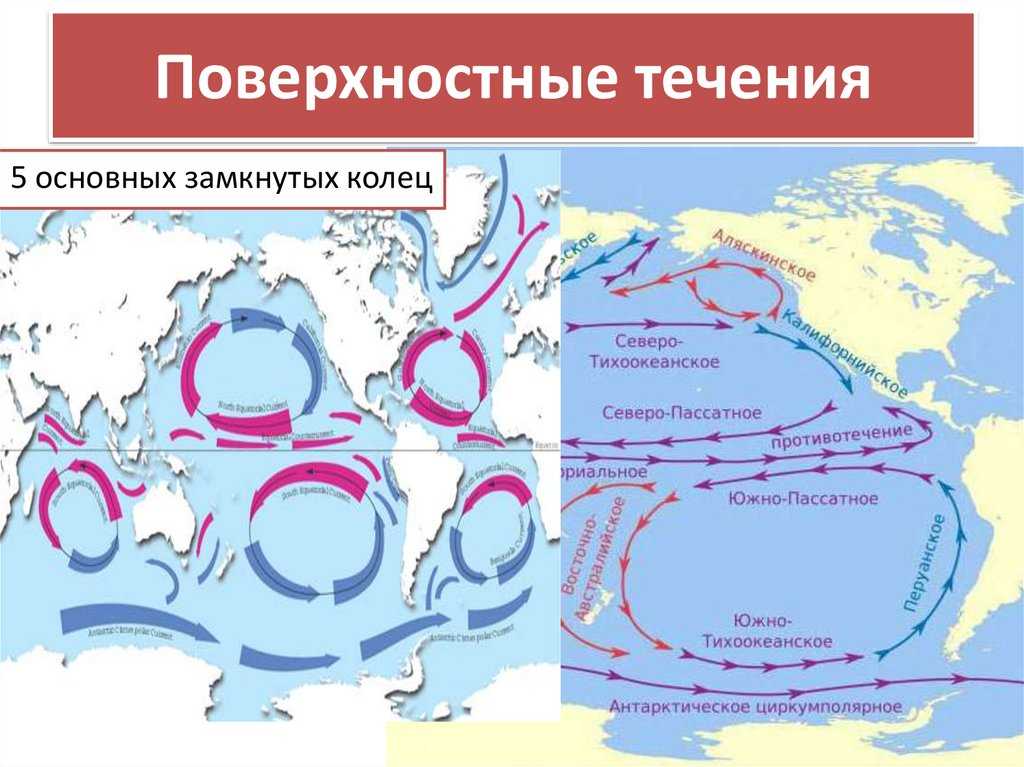 Карта океанов. интерактивная. – mygeograph.ru