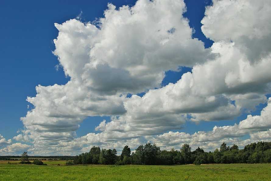 Какие бывают виды облаков?