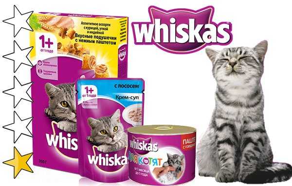 Корм вискас для котят: состав и отзывы ветеринаров, достоинства и недостатки, список витаминов и минералов