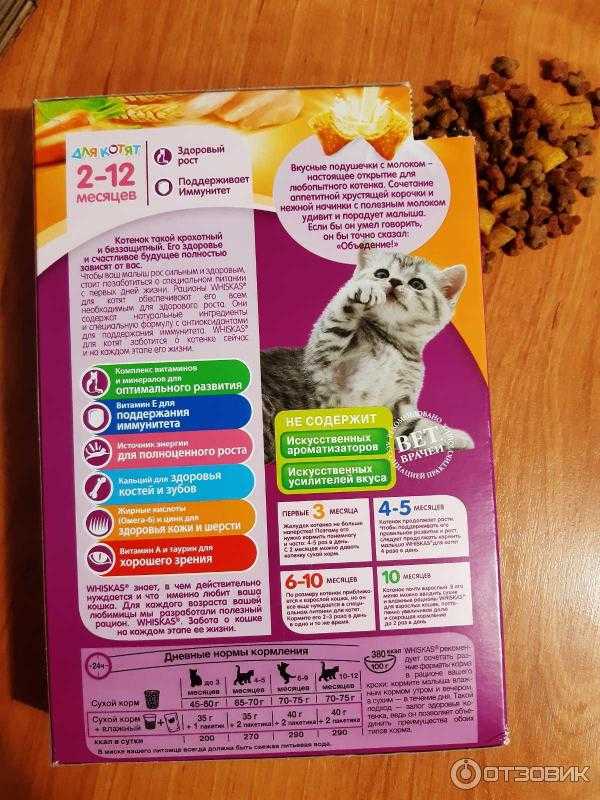 Рейтинг сухих кормов для кошек — плюсы и минусы, выбор правильной дозировки, советы по кормлению, мифы о питании сухим кормом
