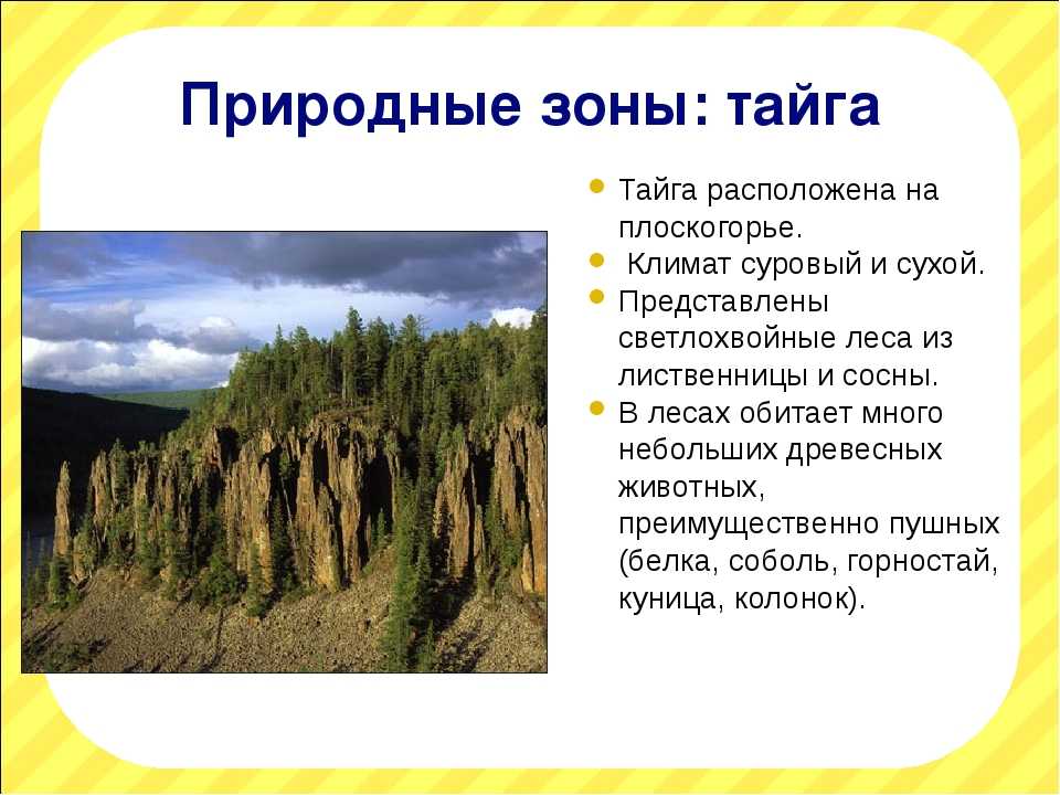 Самый северный лес: где находится тайга и особенности природной зоны - tarologiay.ru