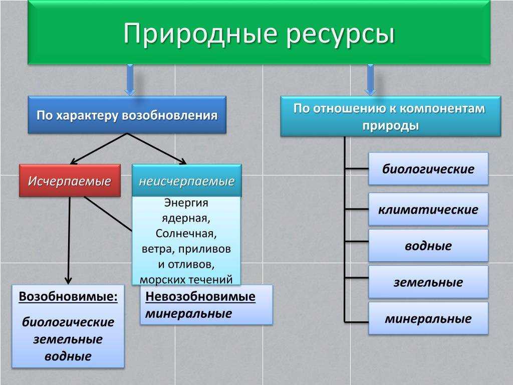 Какие природные ресурсы есть на территории россии? виды, использование и проблемы