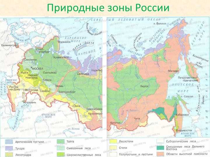 Природные зоны россии - виды с названиями и описанием