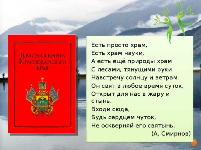 Растения, занесенные в красную книгу россии: описание и фото :: syl.ru