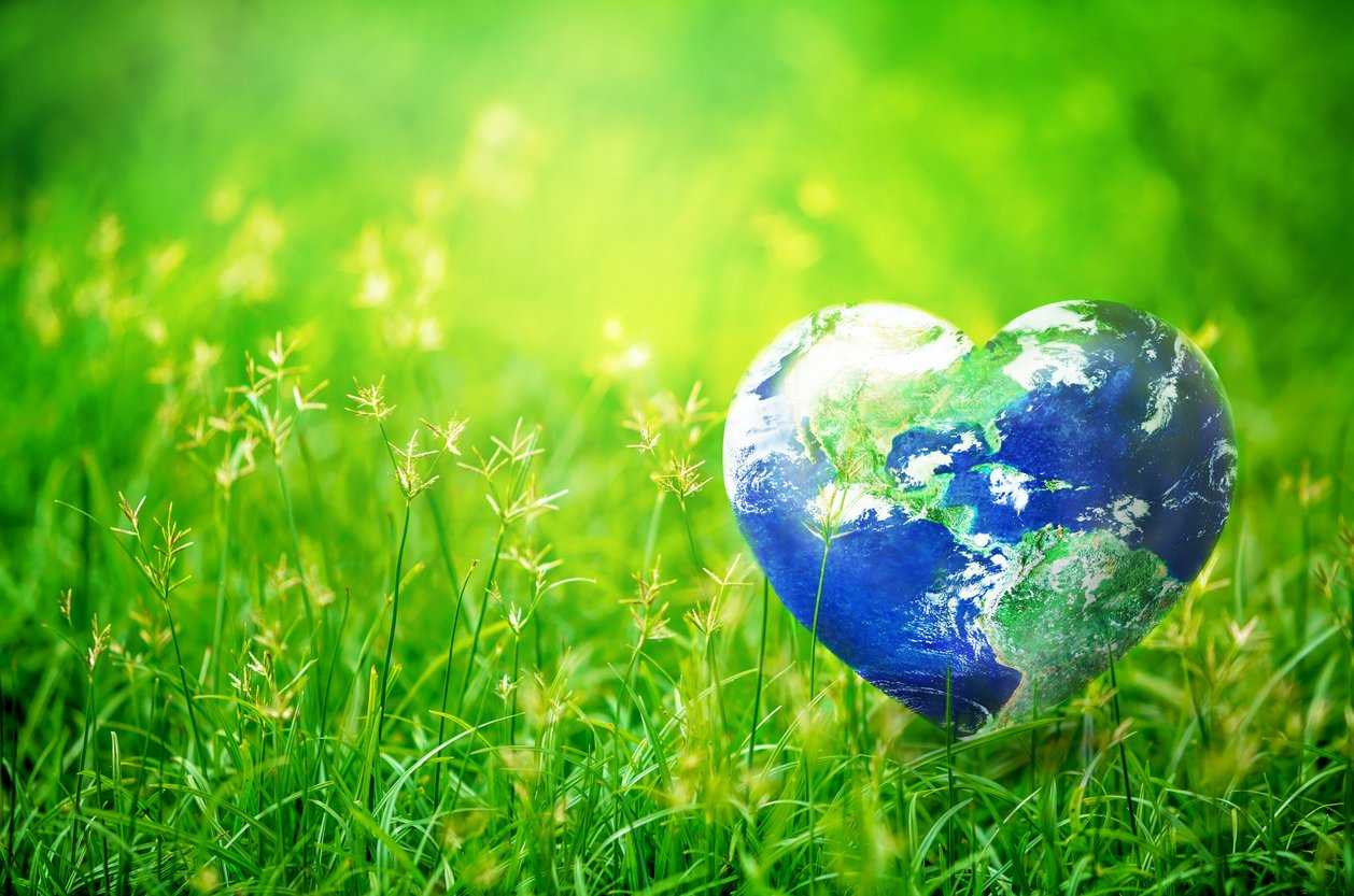Всемирная акция день земли: экологический праздник, какого чесламероприятие в 2019 году, 22 апреля, день водных ресурсов, планеты, для детей, время