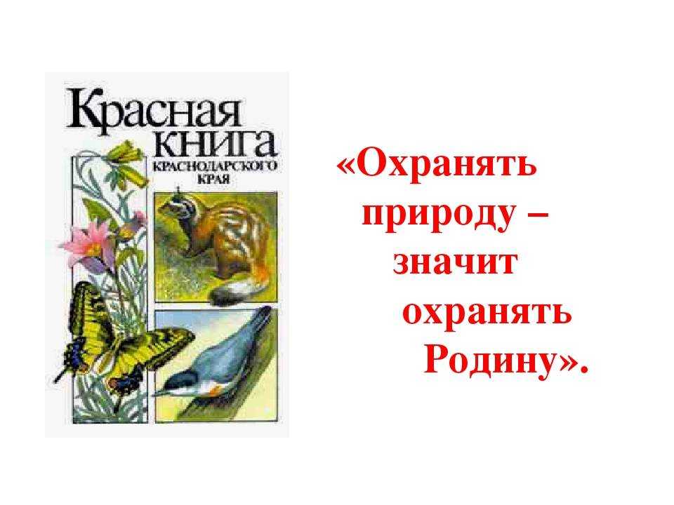Животные, занесенные в красную книгу забайкальского края - названия, описание и фото — природа мира