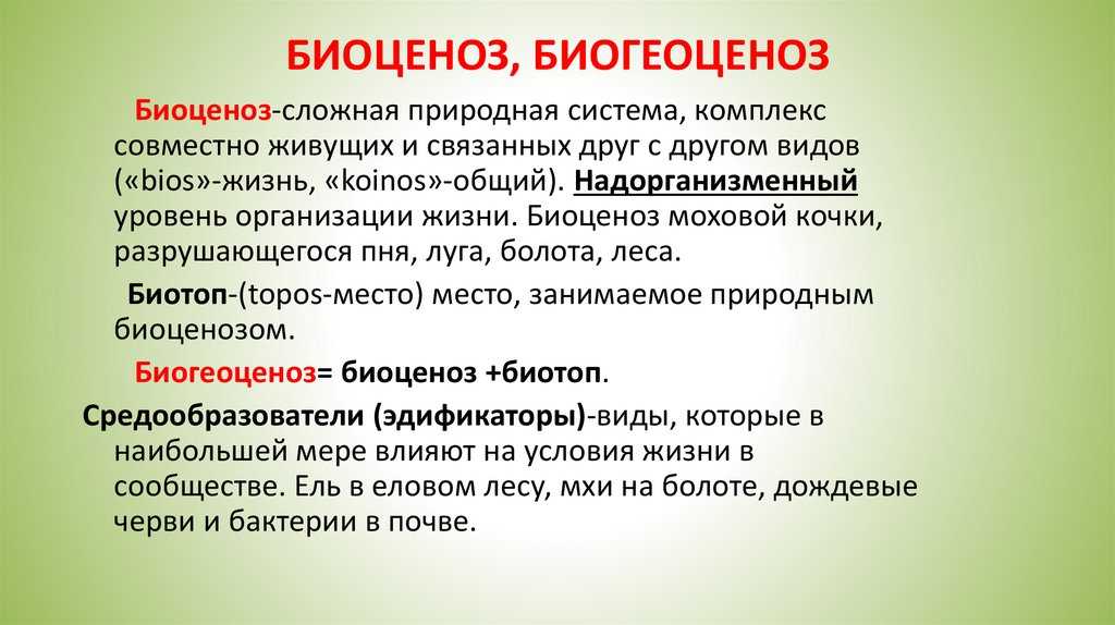 Что такое биоценоз кратко. Биоценоз и биогеоценоз. Разница экосистемы и биогеоценоза. Биогеоценоз и биоценоз различия. Биоценоз биогеоценоз экосистема.