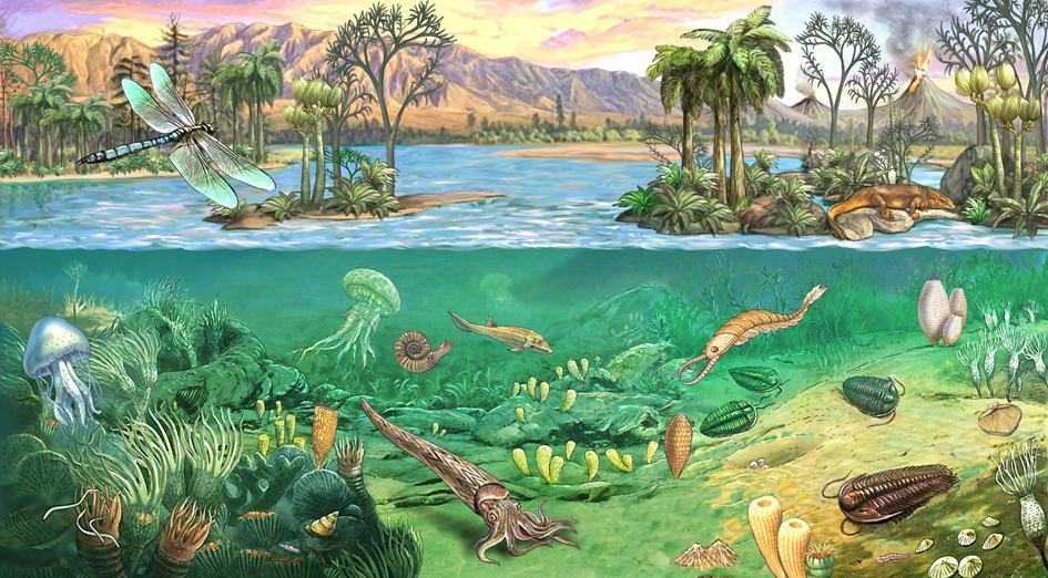 Палеозойская эра: периоды, климат. растительный и животный мир палеозойской эры :: syl.ru