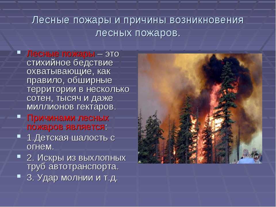 Лесной верховой пожар характеристика - экология и защита окружающей среды