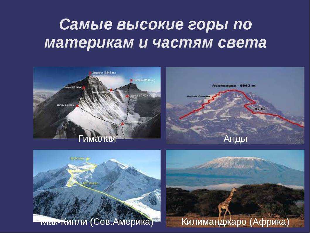Самая высокая гора австралии: вершина, для восхождения на которую не надо быть альпинистом - tarologiay.ru
