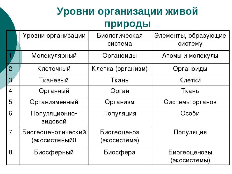 Заполните уровень. Уровни организации живой природы схема. Таблица по биологии уровни организации живых систем. Основные уровни организации живой материи. Уровни организации живых организмов таблица.