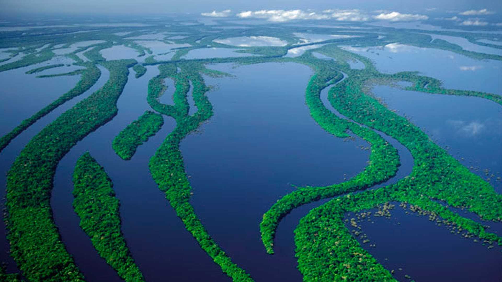 10 самых больших рек в мире