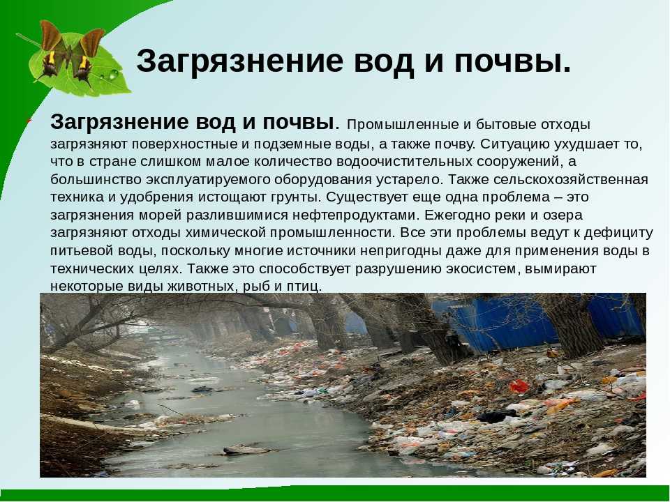 Недобросовестные жители города выкидывают мусор из окон своих домов