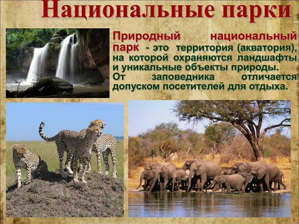 Природа, животные и растения казахстана — описание и фото — природа мира