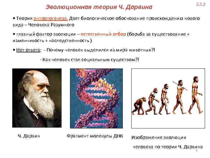 Современная теория эволюции