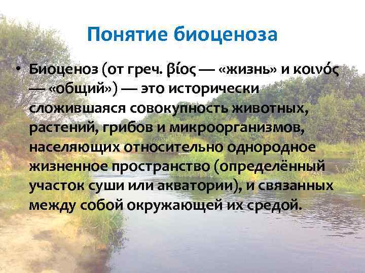 Структура биоценоза, характеристика видовой, пространственной, трофической, экологической, горизонтальной структуры биоценоза | tvercult.ru