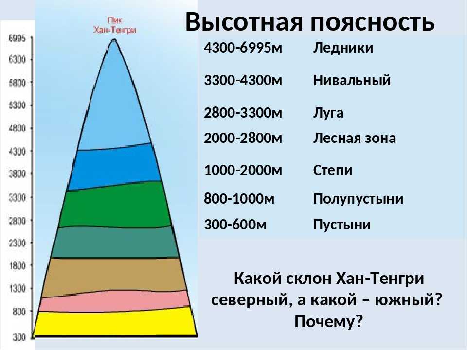 Пояса растительности